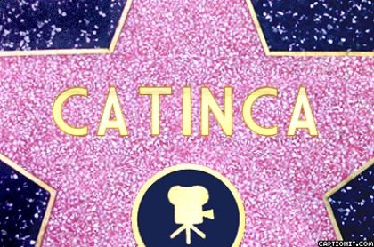 captionit1032212212D31