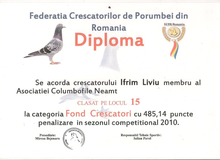 diploma 2 001 - Rezultate 2010
