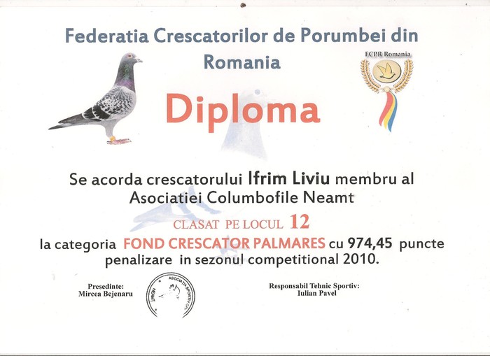 Diploma 3 001 - Rezultate 2010