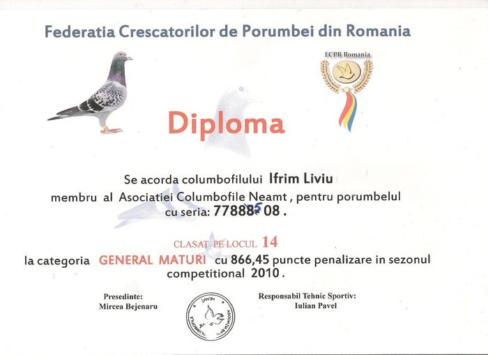 Diploma 3 002 - Rezultate 2010