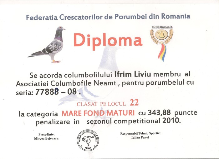Diploma 4 001 - Rezultate 2010