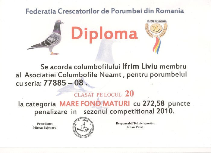 Diploma 6 001