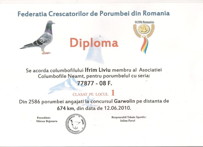 Diploma 7 001 - Rezultate 2010
