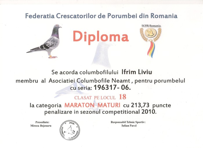 Diploma 8 001 - Rezultate 2010