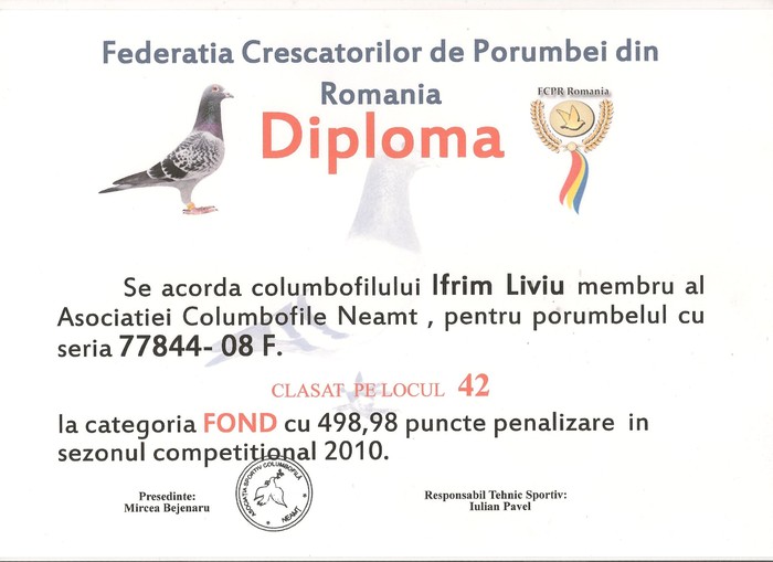 Diploma 10 001