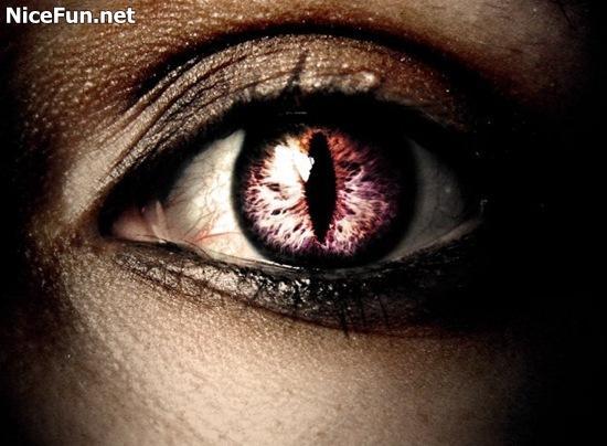 AmazingEyePictures_NiceFun_17_42