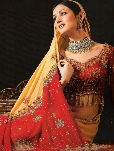 Bridal-Saree-Blouse-Fashion - Podoabe indiene