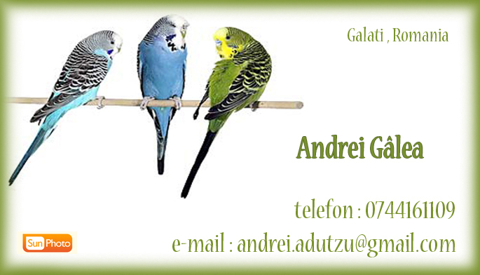 Banner - CONTACT