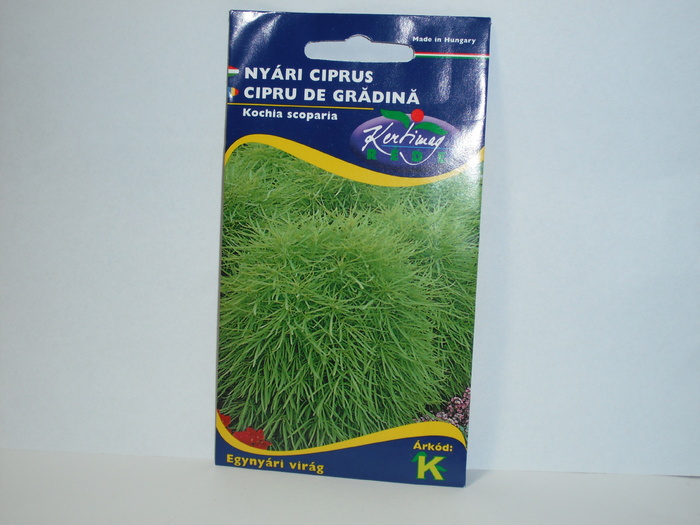 Cipru de gradina