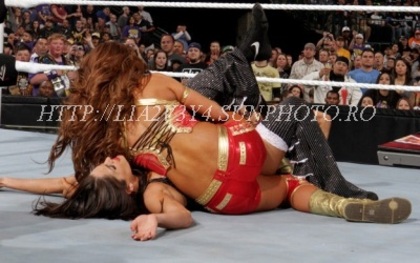 normal_r6~3 - eve torres vs the bella twins