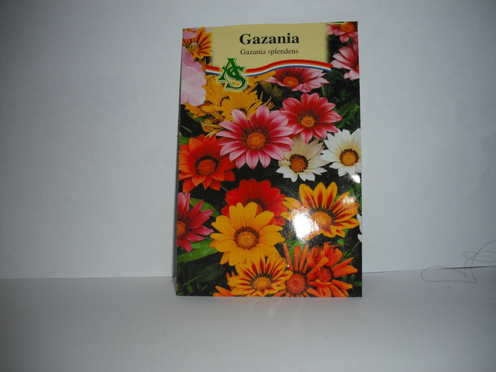 Gazania