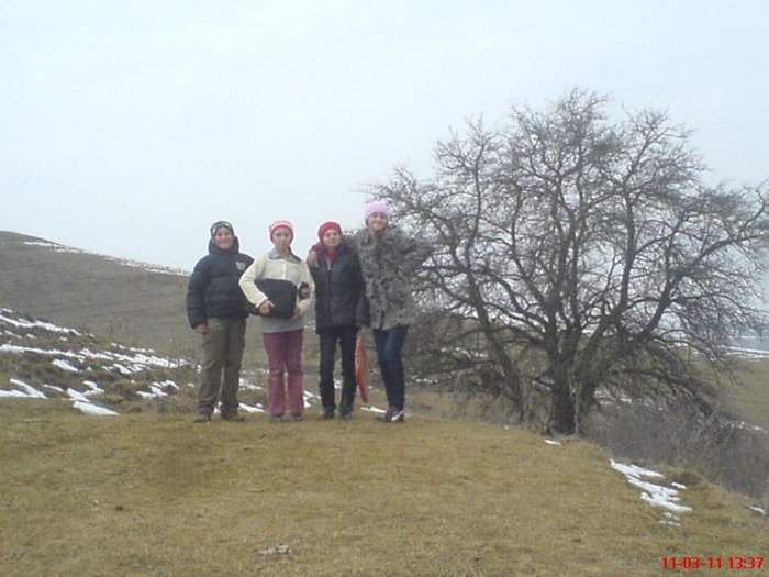 DSC01434 - 2012 Pe dealurile Ungrii