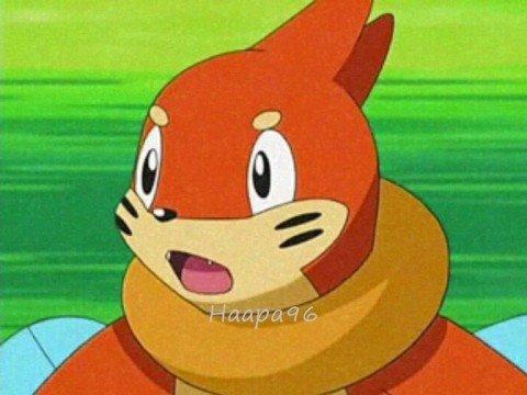 Buizel:o nuuu