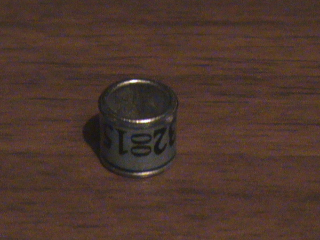 DSC02508