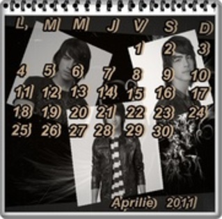 33163306_PJZXBTHPG - calendar cu joe