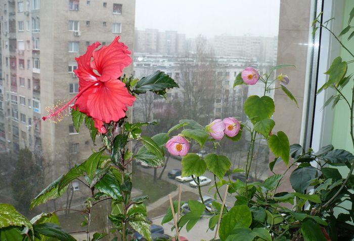 P1330006