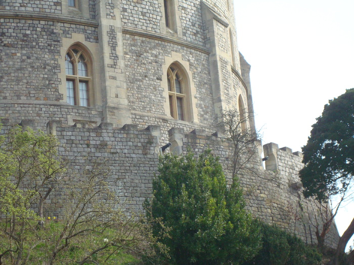 DSC06811