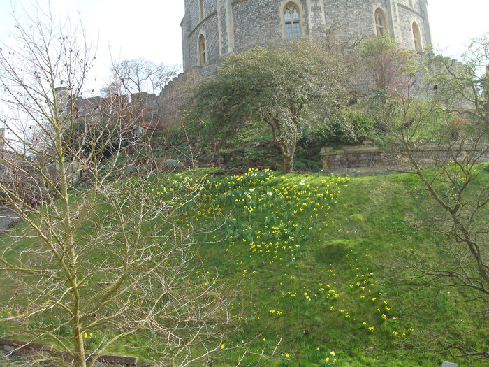 DSC06814
