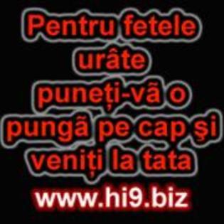 11952099_EZNFCVLRN[2]