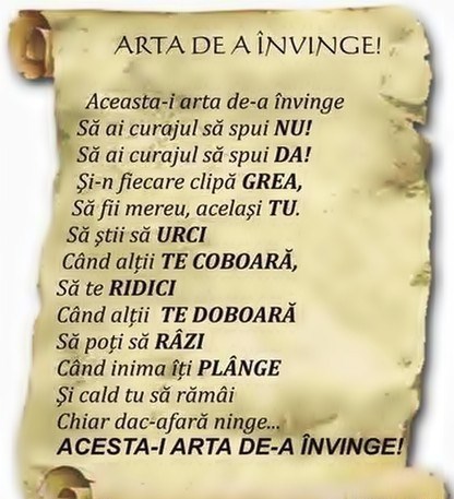 102525241_2900549_12272576