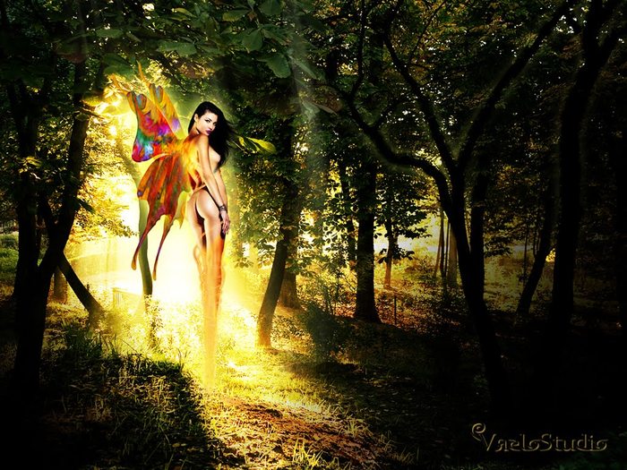 VaeloStudio_Butterfly_Women_1024x768
