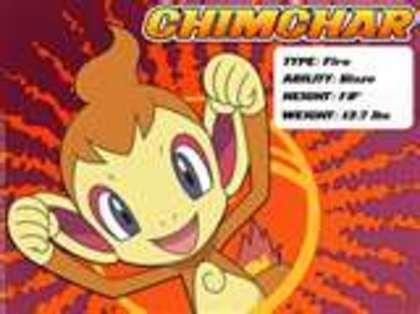 chimchar baiat lvl 89 stie toate miscarile de foc si normale - Pokemoni lui serinapokemon