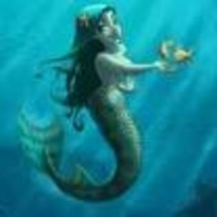 sirena - sirene