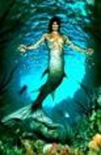 sirena - sirene