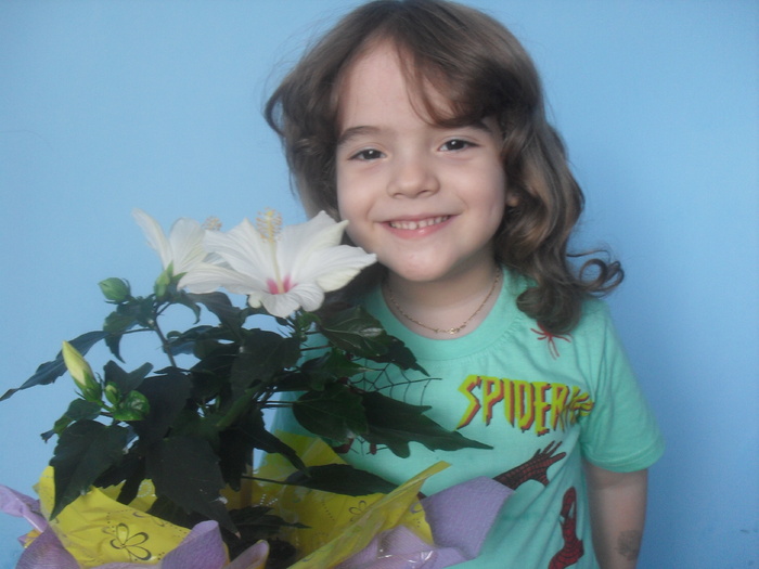 Razvan-floarea vietii mele - HIBISCUS-2010-2011