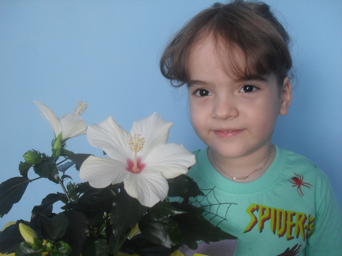 8 martie 2011 - HIBISCUS-2010-2011