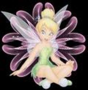 clopo - tinker bell