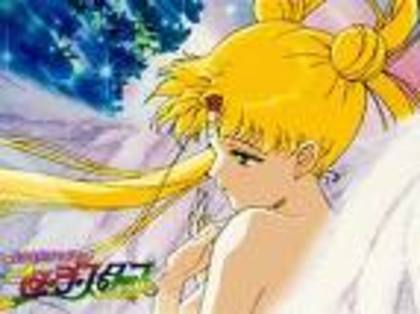 sailor moon; indragostita
