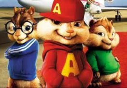 Alvin (24)