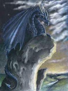 Un Dragon Protector; Coco:eu l-am pus!
