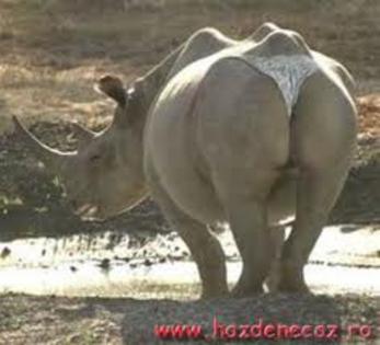 images - poze pe care le am in pc2