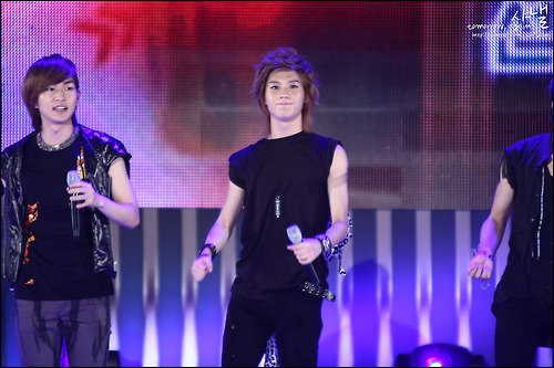 tumblr_l785wfbx4M1qa4rk1o1_500 - Lee Taemin