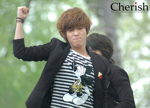 tumblr_l27icp2O351qa4rk1o1_500 - Lee Taemin