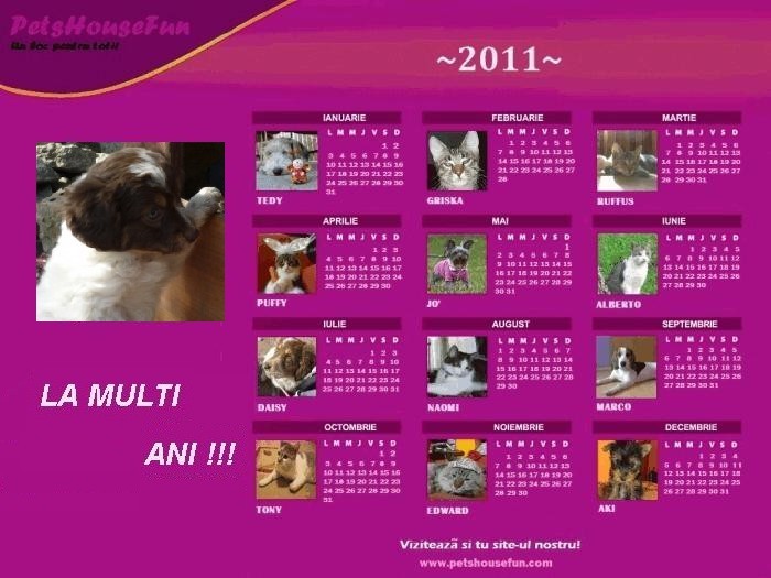 calendar-daisy