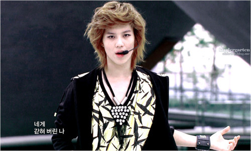 tumblr_l8ll1opzSr1qa4rk1o1_500 - Taeminuuu
