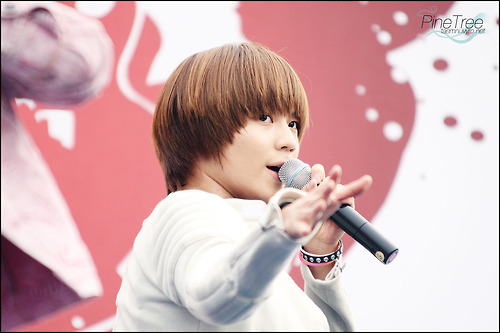 tumblr_l3cb0tT2cX1qa4rk1o1_500 - Taeminieee