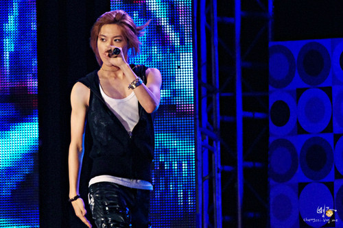 tumblr_l6ewsgDrkq1qa4rk1o1_500 - Taeminieee