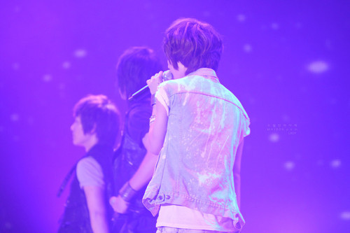 tumblr_l3s5reeK2R1qa4rk1o1_500 - Taeminieee