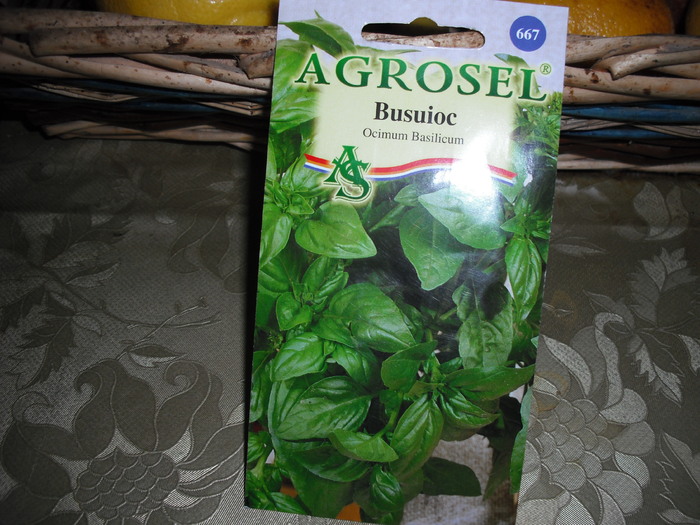 Busuioc; Busuioc
