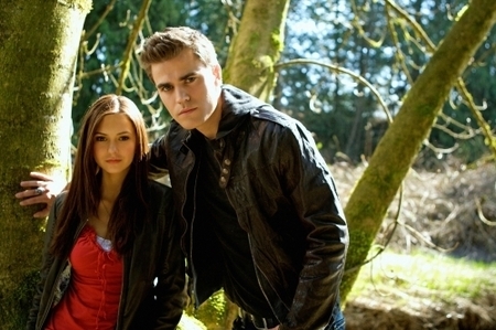 the-vampire-diarides - The Vampire Diaries