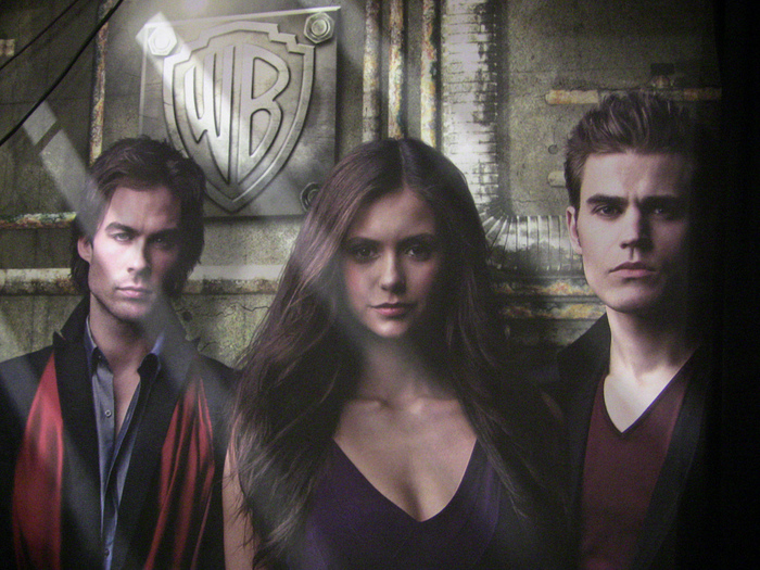 The-Vampire-Diaries-the-vampire-diaries-tv-show-7286947-1024-768 - The Vampire Diaries