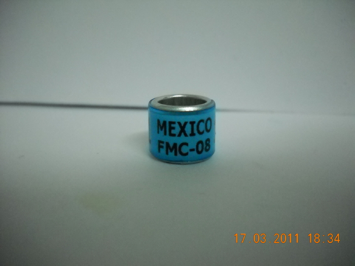 2008 - MEXIC