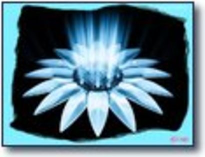 Si   Mikeyla se deghiza