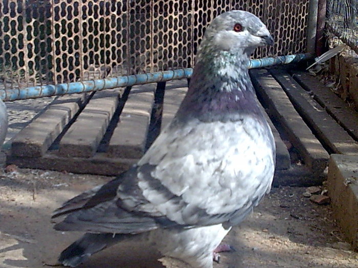 F-2010 - 3-ARHIVA AGH I