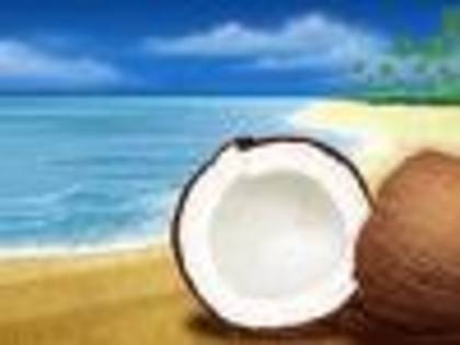 nuca de cocos