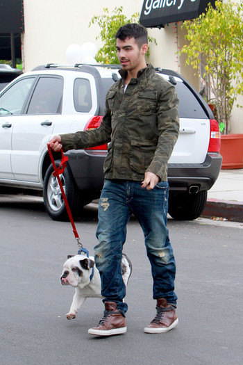 Joe+Jonas+Joe+Jonas+takes+bulldog+Winston+9QNlbcsnannl - Joe Jonas takes his bulldog Winston for a walk